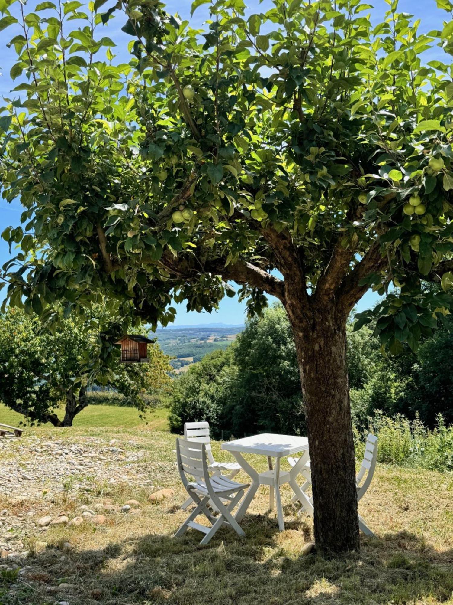 Gite Chez Polo Βίλα Chateauneuf-de-Galaure Εξωτερικό φωτογραφία